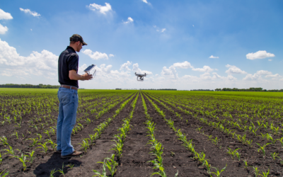 Op-Ed: From the Salinas Valley to Silicon Valley, AI Is Already Working the Fields. Our People Need to Be Ready.
