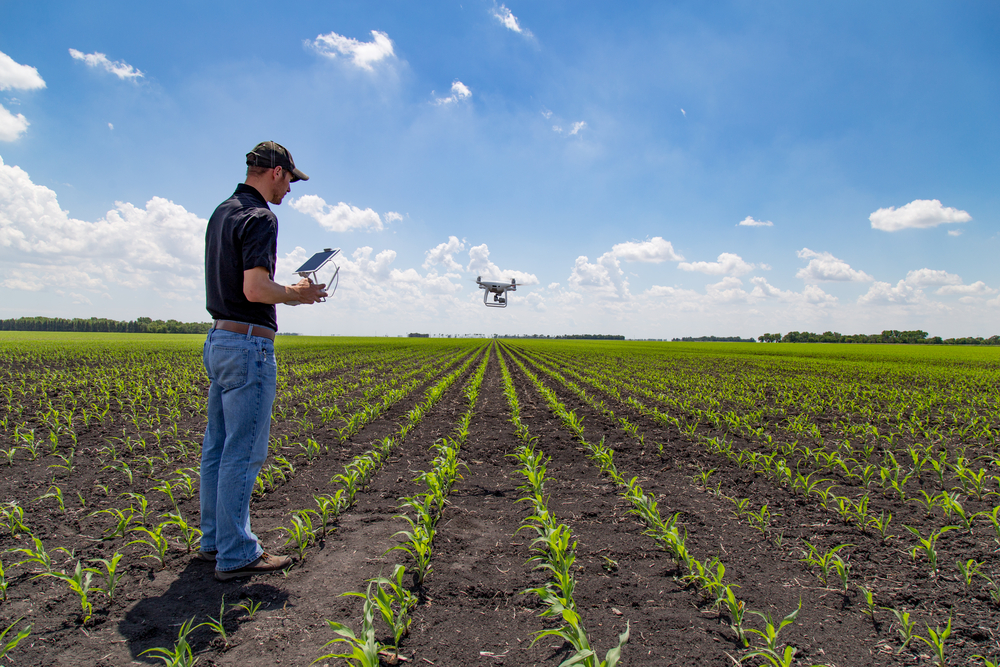Op-Ed: From the Salinas Valley to Silicon Valley, AI Is Already Working the Fields. Our People Need to Be Ready.