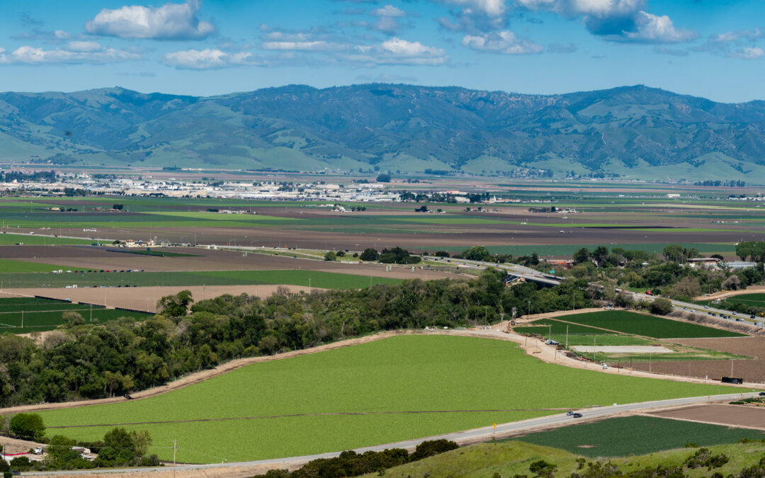 Regional Leaders Join Monterey Bay Economic Partnership Board of Directors