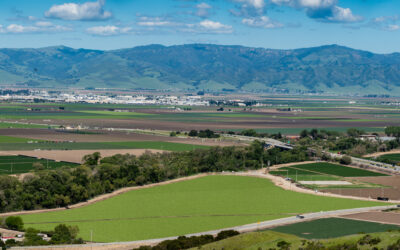 Regional Leaders Join Monterey Bay Economic Partnership Board of Directors