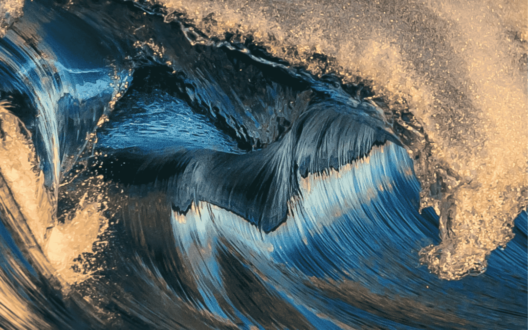 Digital Literacy Instructor