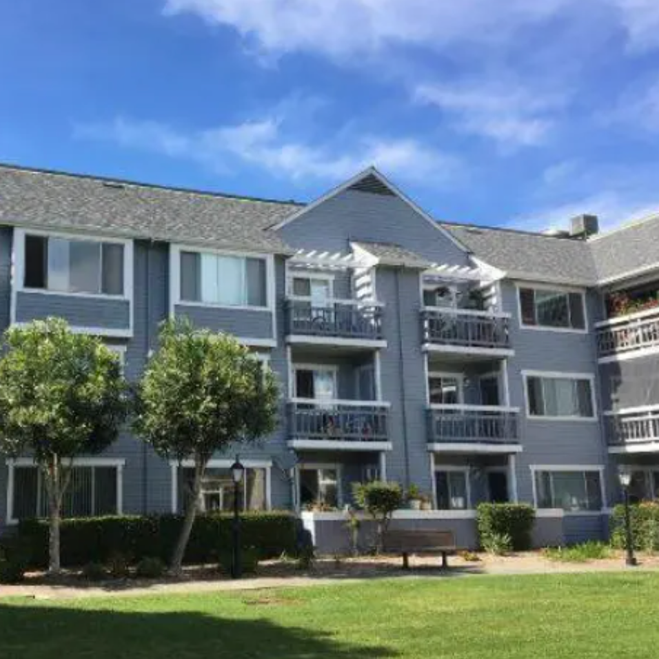 Tahra Goraya Headshot