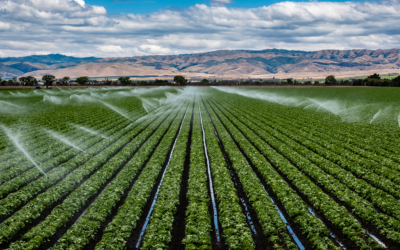 Economy Matters: What happens to our fields happens to us all